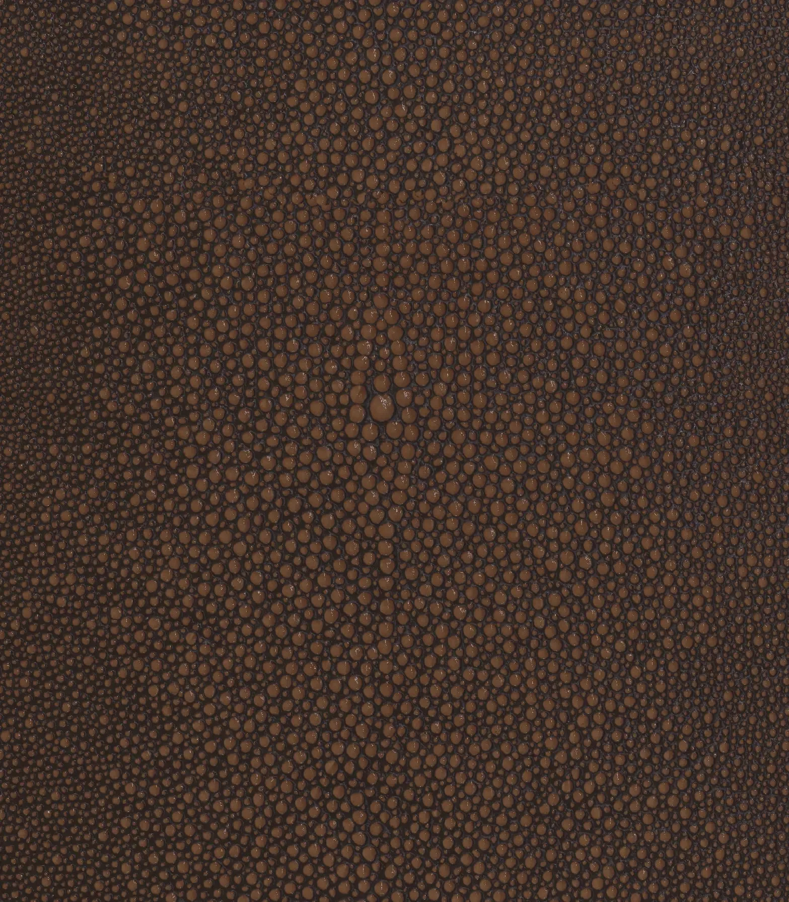 Stingray Embossed Cowhide